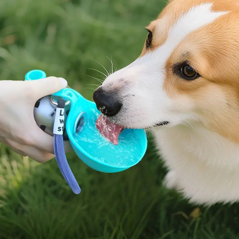 Travel Sip Pet Bottle